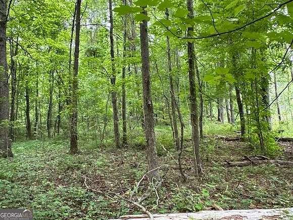 1.09 Acres of Land for Sale in Dallas, Georgia