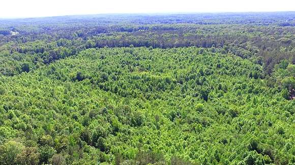 42 Acres of Recreational Land for Sale in Dallas, Georgia