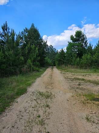 384 Acres of Recreational Land for Sale in Piedmont, Alabama