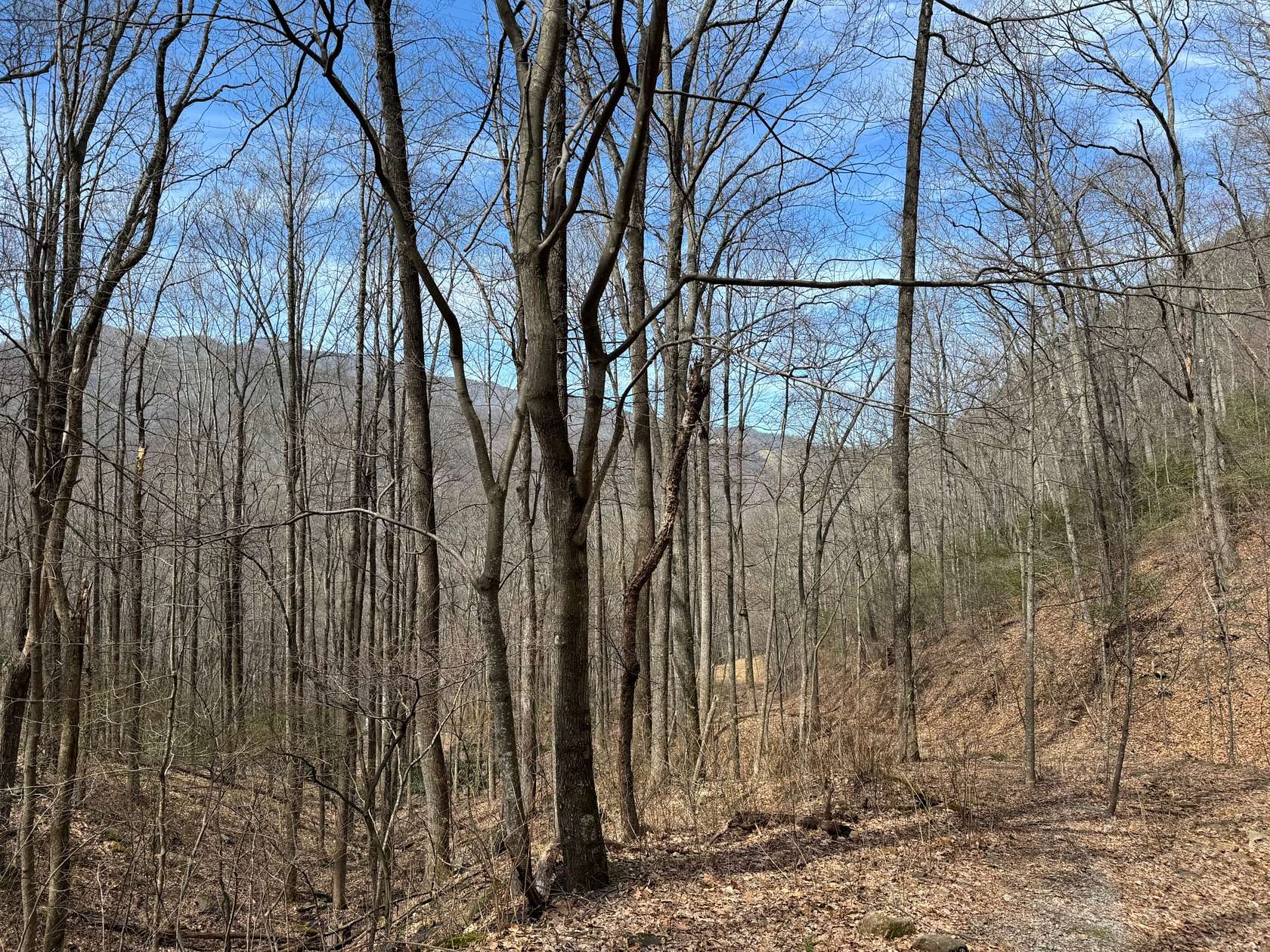 179 Acres of Recreational Land for Sale in Canton, North Carolina