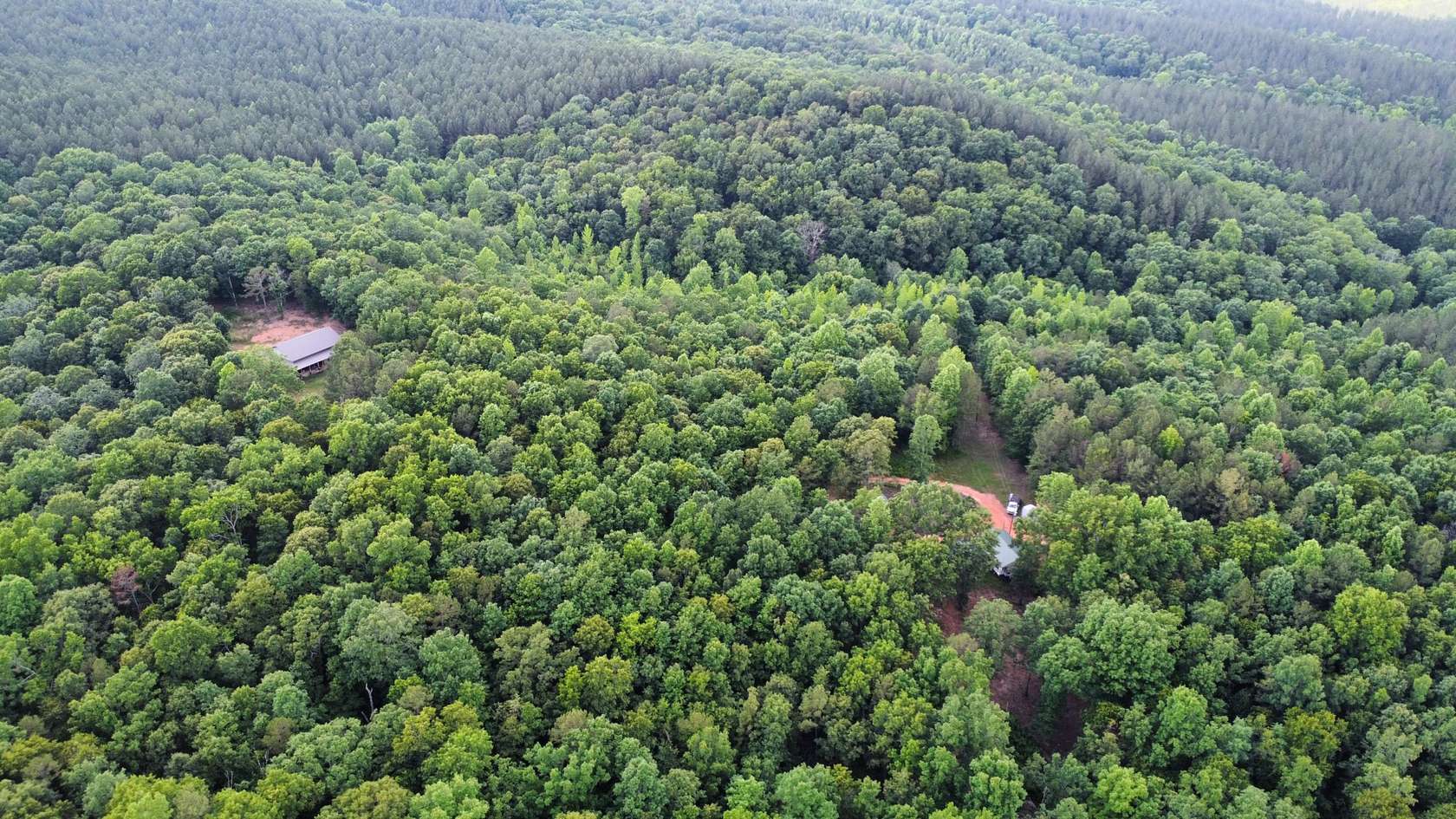 40 Acres of Recreational Land for Sale in Woodland, Alabama