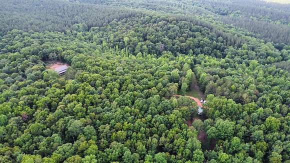40 Acres of Land for Sale in Woodland, Alabama
