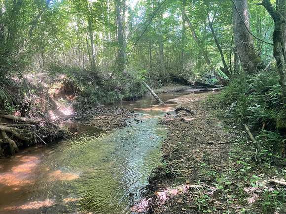 27 Acres of Recreational Land & Farm for Sale in Wadley, Alabama