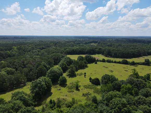 16 Acres of Recreational Land & Farm for Sale in Rutledge, Alabama