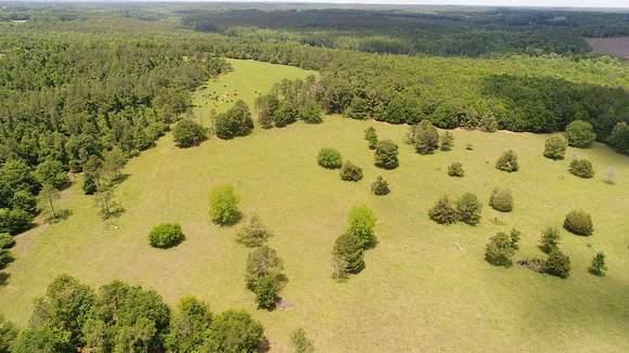 198 Acres of Land for Sale in Luverne, Alabama