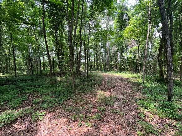 8 Acres of Land for Sale in Greenville, Alabama