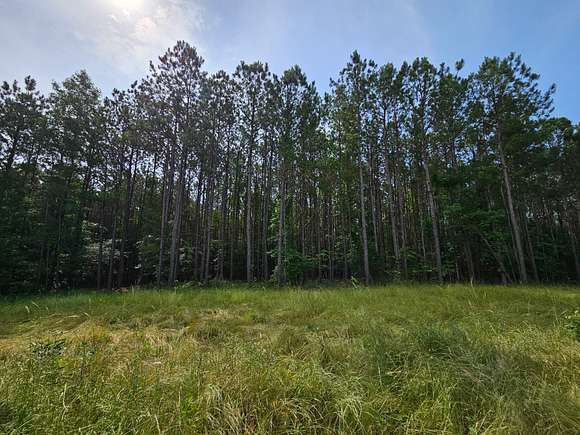 130 Acres of Recreational Land & Farm for Sale in Piedmont, Alabama