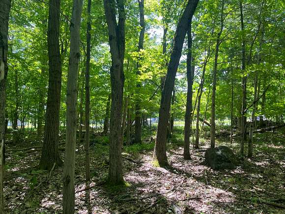 1 Acre of Residential Land for Sale in Lyons Falls, New York