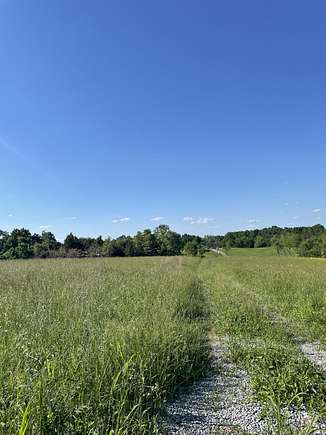 65.5 Acres of Recreational Land for Sale in Flemingsburg, Kentucky