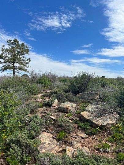 40.49 Acres of Recreational Land for Sale in Dove Creek, Colorado