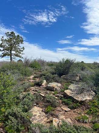 40.5 Acres of Land for Sale in Dove Creek, Colorado