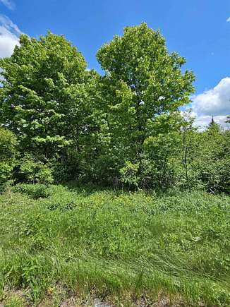 1.1 Acres of Residential Land for Sale in Woodford, Vermont