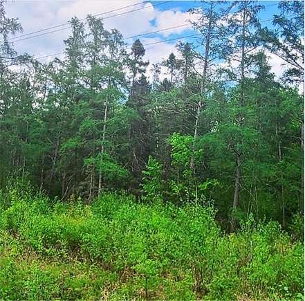 3.1 Acres of Residential Land for Sale in Minong, Wisconsin