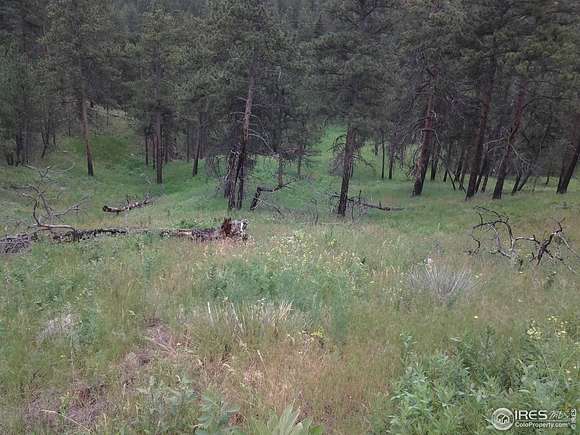 20 Acres of Recreational Land for Sale in Bellvue, Colorado