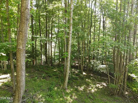 26 Acres of Land for Sale in Johnson City, Tennessee