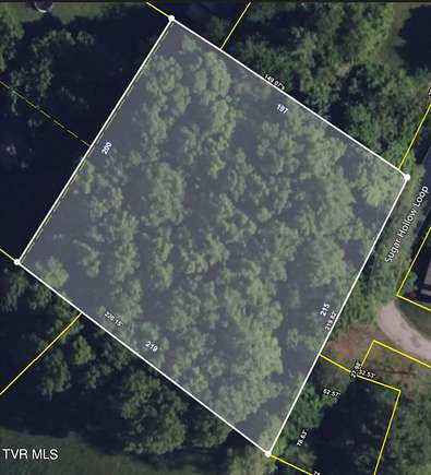 1.1 Acres of Residential Land for Sale in Unicoi, Tennessee