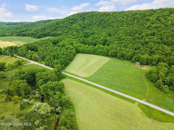 31.2 Acres of Recreational Land for Sale in Kortright Town, New York
