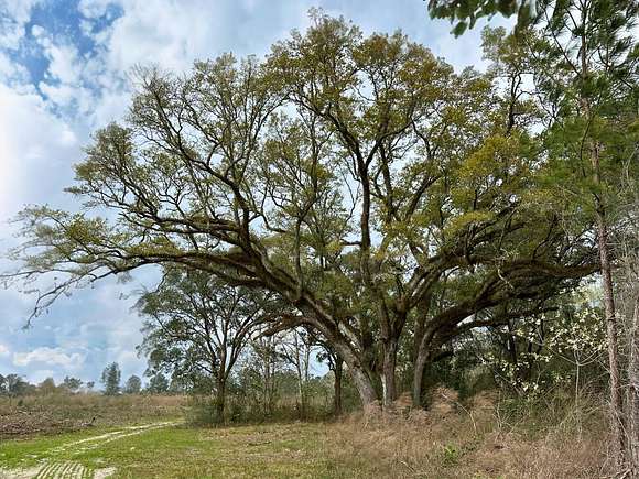 10.8 Acres of Recreational Land for Sale in DeFuniak Springs, Florida