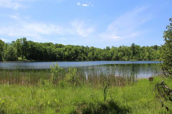 21.2 Acres of Recreational Land for Sale in Gowen, Michigan