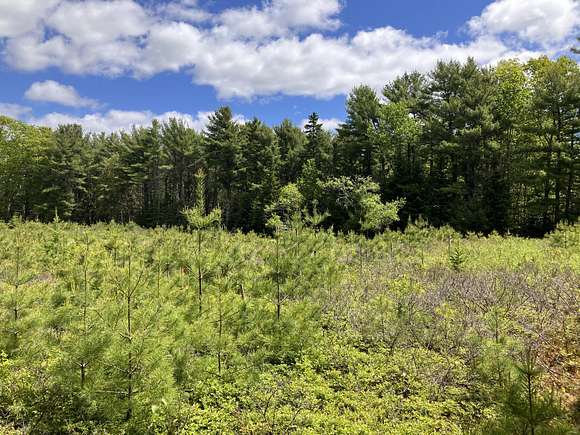 2.2 Acres of Land for Sale in Bar Harbor, Maine