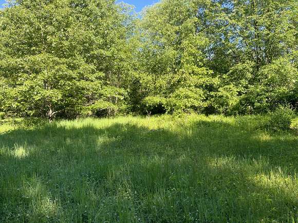 10.2 Acres of Recreational Land for Sale in Eaton Rapids, Michigan