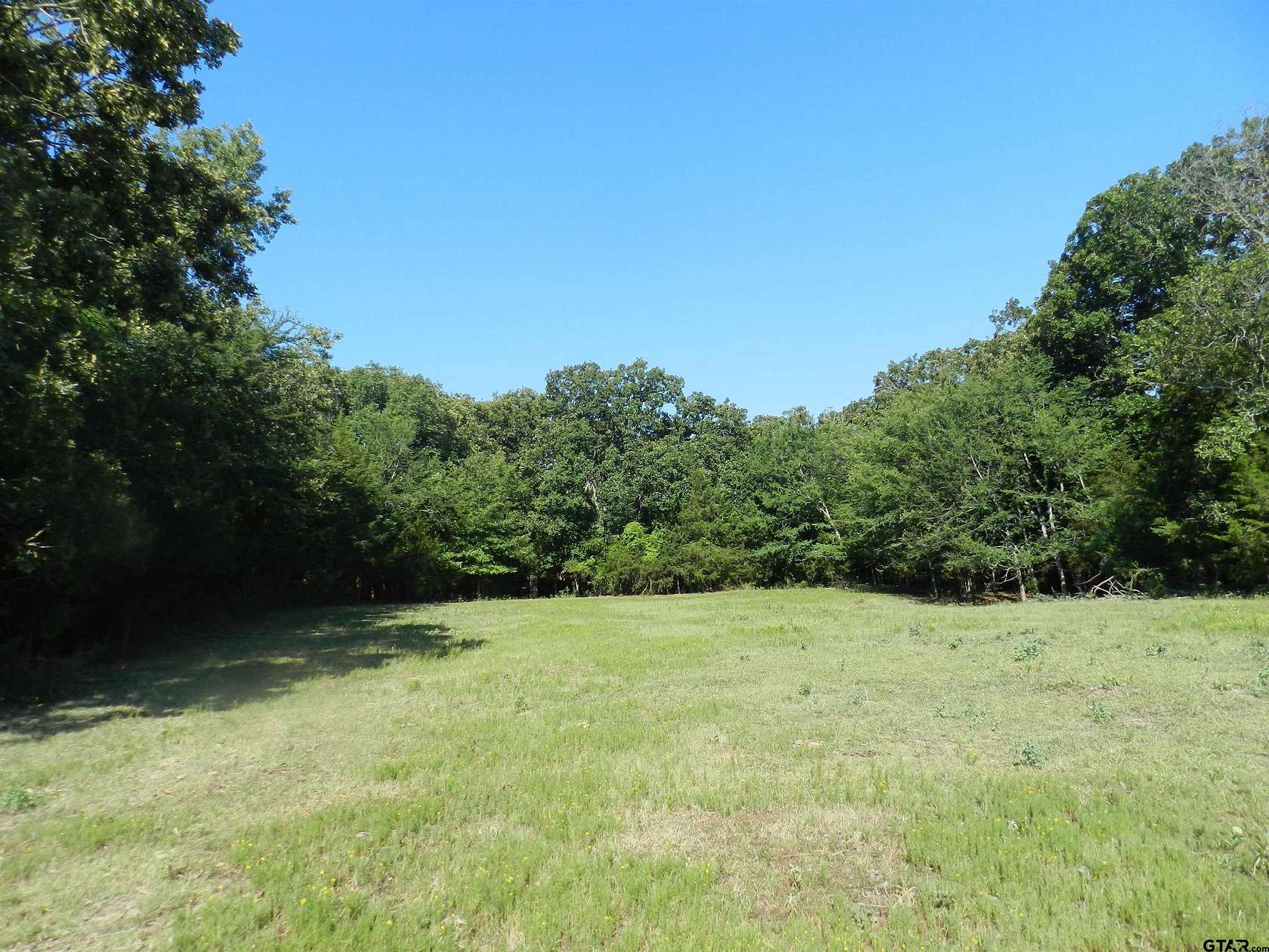 223.5 Acres of Recreational Land for Sale in Talco, Texas