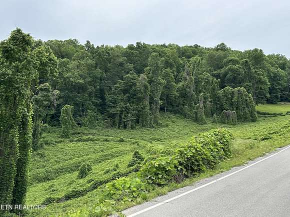 3.4 Acres of Residential Land for Sale in Rocky Top, Tennessee