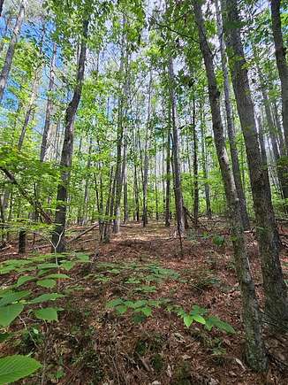 4.5 Acres of Residential Land for Sale in Arvonia, Virginia