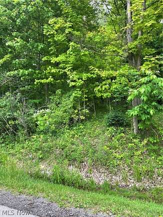 1.2 Acres of Residential Land for Sale in Hinckley, Ohio