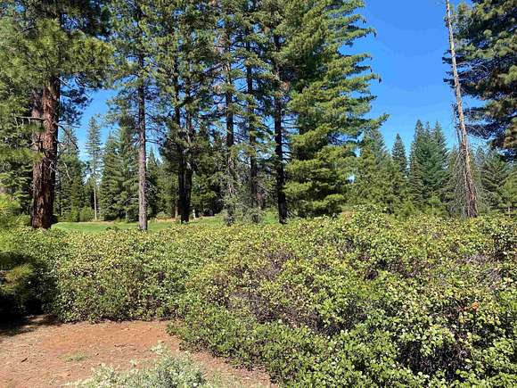 0.38 Acres of Residential Land for Sale in Lake Almanor Peninsula, California