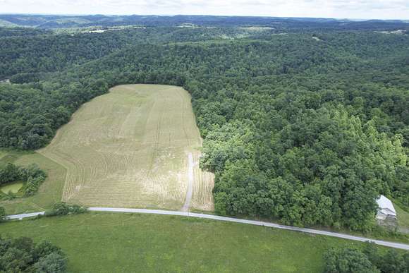 36.97 Acres of Land for Sale in Wallingford, Kentucky