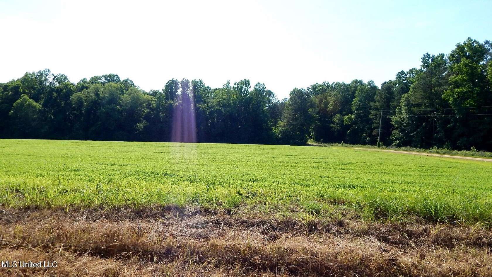 38.2 Acres of Recreational Land & Farm for Sale in Bruce, Mississippi