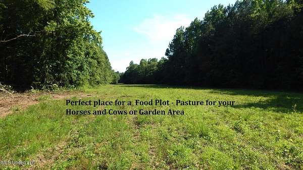 47.2 Acres of Recreational Land & Farm for Sale in Bruce, Mississippi