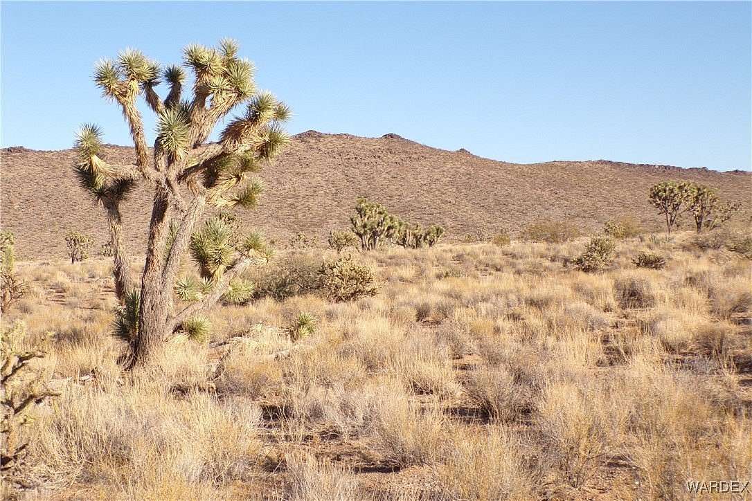 1 Acre of Residential Land for Sale in Dolan Springs, Arizona