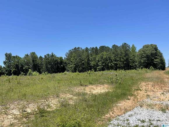 6 Acres of Commercial Land for Sale in Roanoke, Alabama