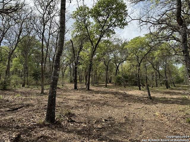 11 Acres of Land for Sale in Seguin, Texas