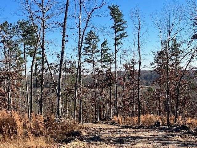 6.197 Acres of Land for Sale in Fredericktown, Missouri