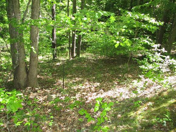 2.9 Acres of Residential Land for Sale in Glasgow, Virginia