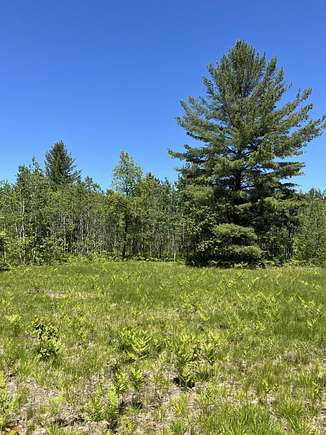5 Acres of Agricultural Land for Sale in Kalkaska, Michigan