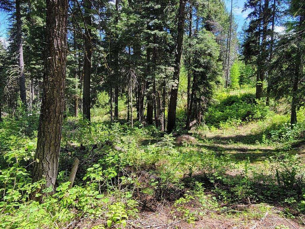 2.1 Acres of Land for Sale in Donnelly, Idaho