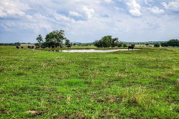 75.9 Acres of Agricultural Land for Sale in Washington, Texas