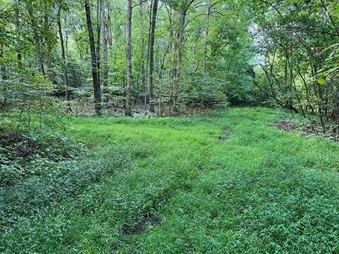 0.53 Acres of Residential Land for Sale in Baneberry, Tennessee