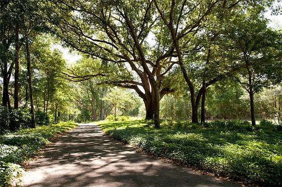 0.11 Acres of Residential Land for Sale in Newberry, Florida