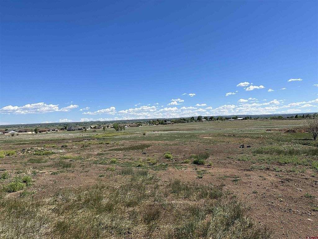 30 Acres of Agricultural Land for Sale in Cortez, Colorado