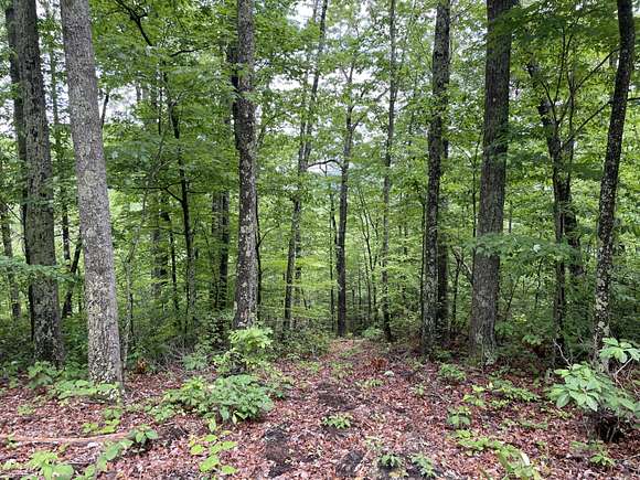 0.78 Acres of Land for Sale in Frenchburg, Kentucky