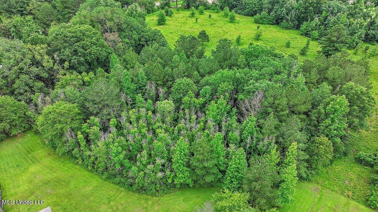 1.5 Acres of Residential Land for Sale in Mendenhall, Mississippi