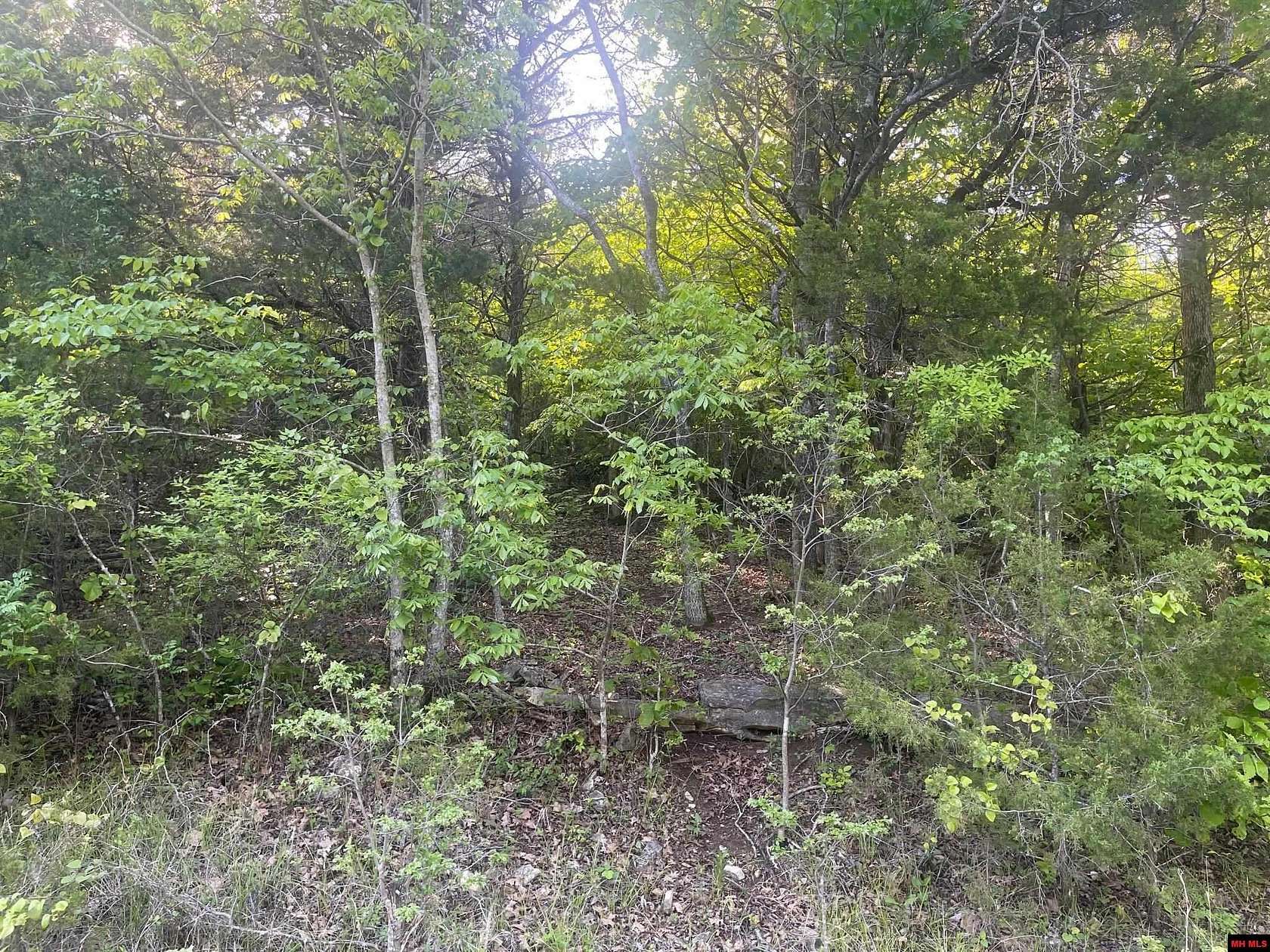 5.4 Acres of Residential Land for Sale in Yellville, Arkansas