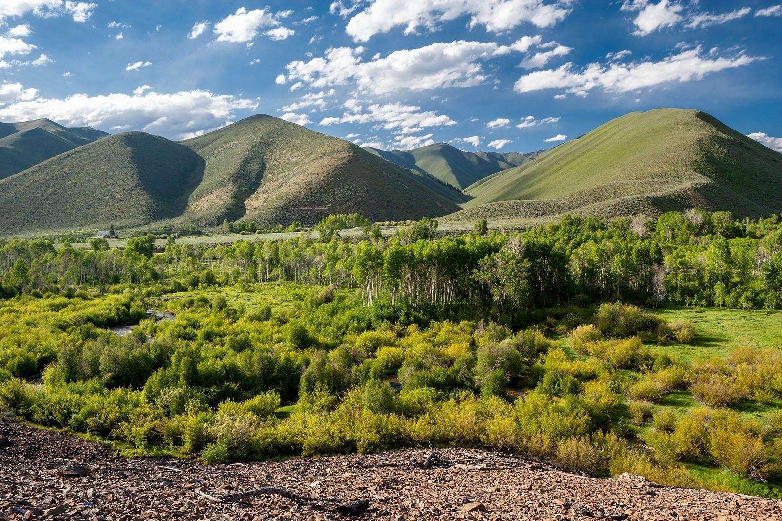 14.36 Acres of Land for Sale in Hailey, Idaho