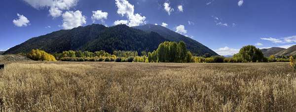 15.6 Acres of Land for Sale in Hailey, Idaho