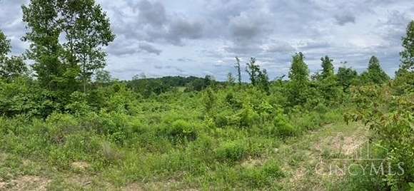 33 Acres of Land for Sale in West Union, Ohio